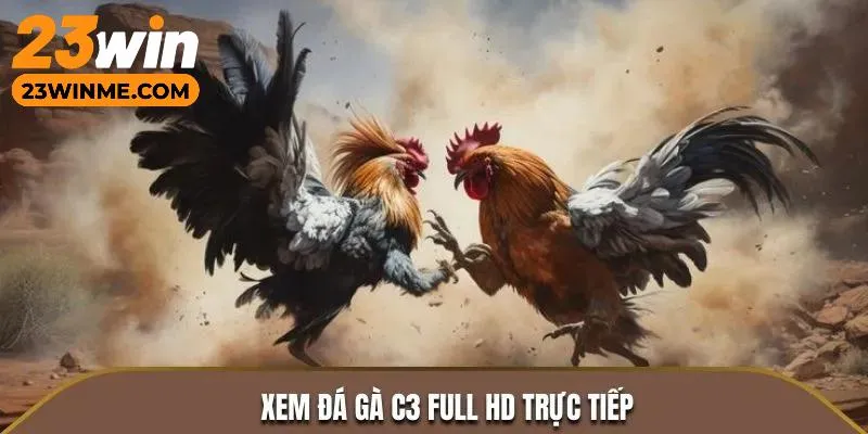 Đá gà trực tiếp C3 - Sự lựa chọn hàng đầu cho bạn trong 2025