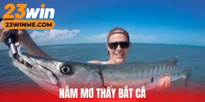 Nằm mơ thấy bắt cá tại 23Win