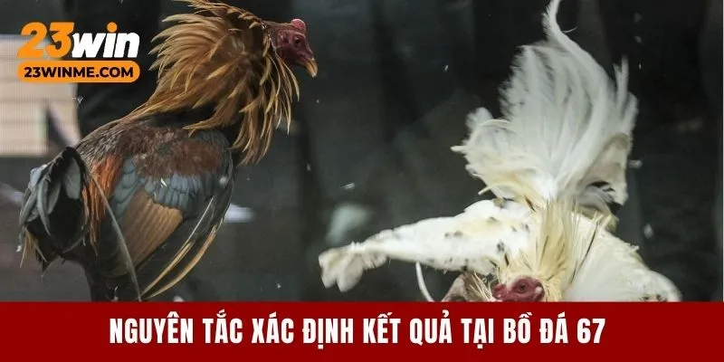 Nguyên tắc xác định kết quả tại bồ đá 67