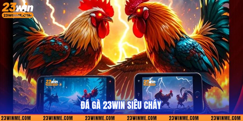 Đá gà 23Win siêu cháy